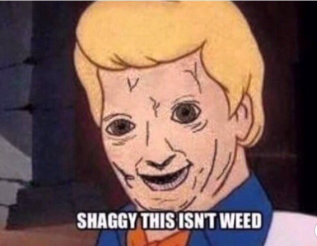 shaggy
